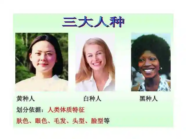 三种肤色的人种