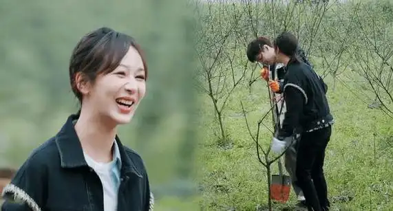 杨紫张艺兴或将迎来新合作,蘑菇屋可能只是前菜_网友_都会_小米