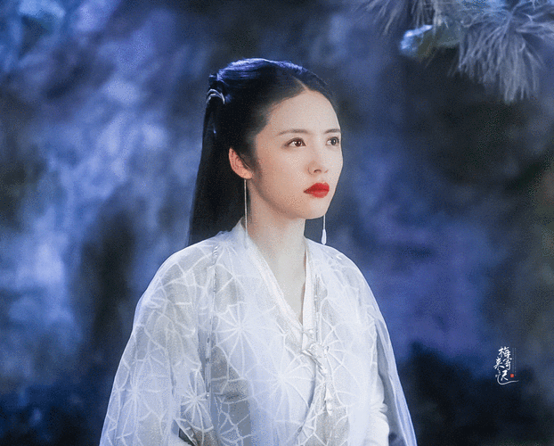 蔡文静 | 银妆 cr:梅寄来迟