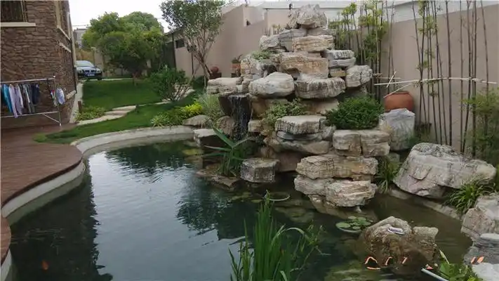 别墅院子假山位置风水_别墅后院假山水池风水_假山水池庭院风水