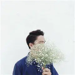 男生图片满天星男头枯萎的满天星无尽的祝福  满天星头像满天星花海