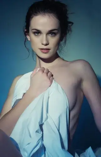 gwendoline taylor 格温多兰·泰勒    出生地:新西兰