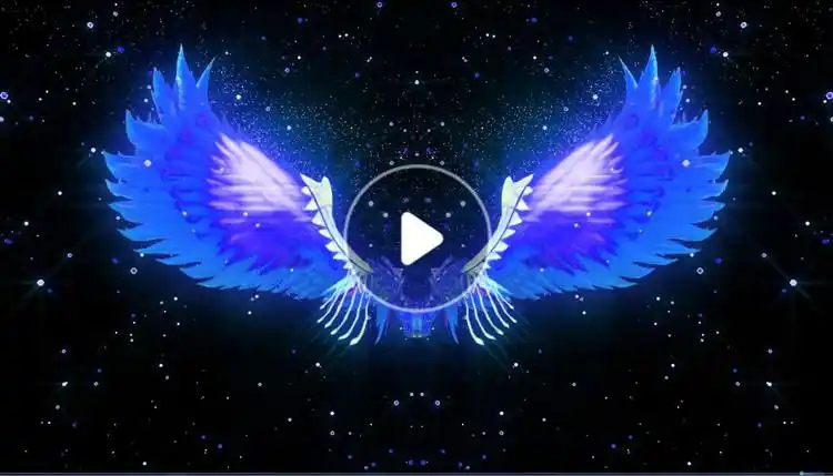 高清翅膀背景3d全息投影素材夢幻開場視頻婚慶led舞臺led大屏視頻