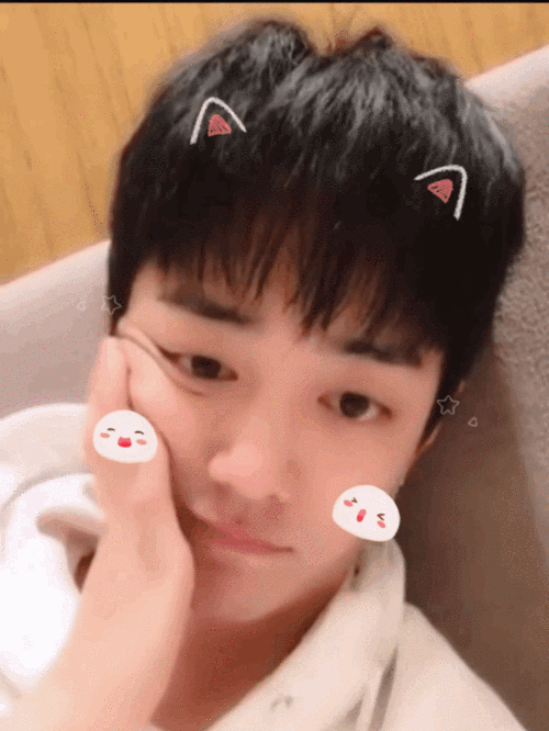 肖战 爱豆 表情包 动图