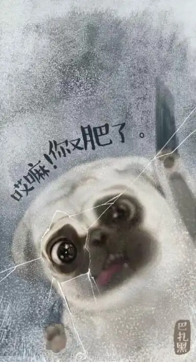 吾皇万睡(ω*) 吾皇de屏保