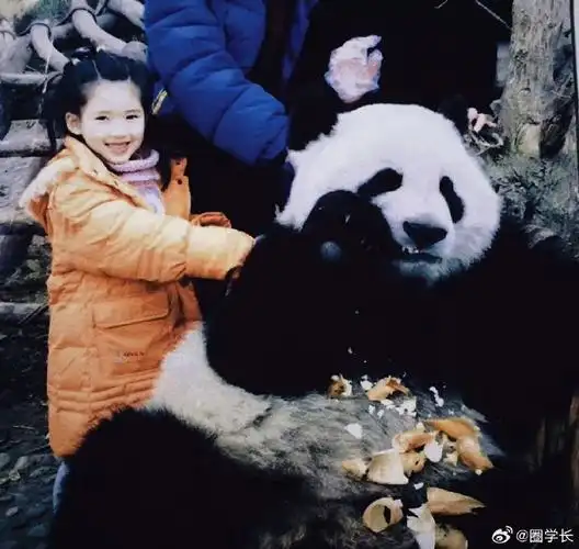 赵露思晒了童年照