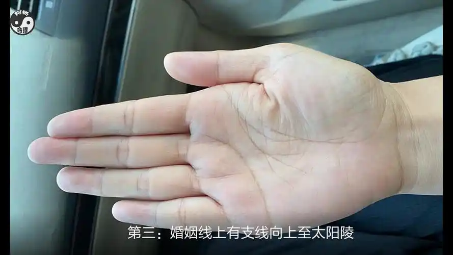 富贵有征兆必嫁有钱人的手相