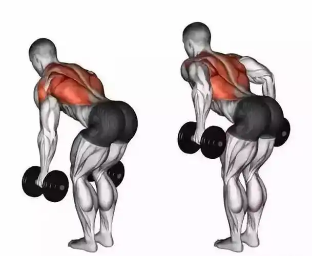 背阔肌是超有力的肌群,所以哑铃选择最好稍重一些.