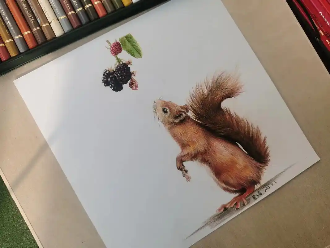 手绘彩铅小松鼠