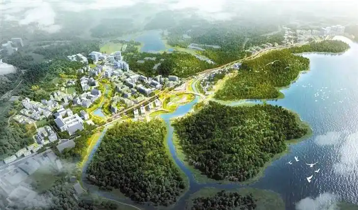 全球顶尖科技创新高地:西丽湖国际科教城_发展_深圳_湾区