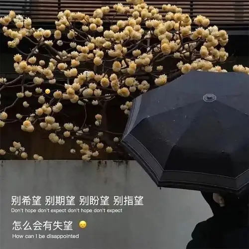 朋友圈背景图男孩子在意的是态度女孩子在意的是细节