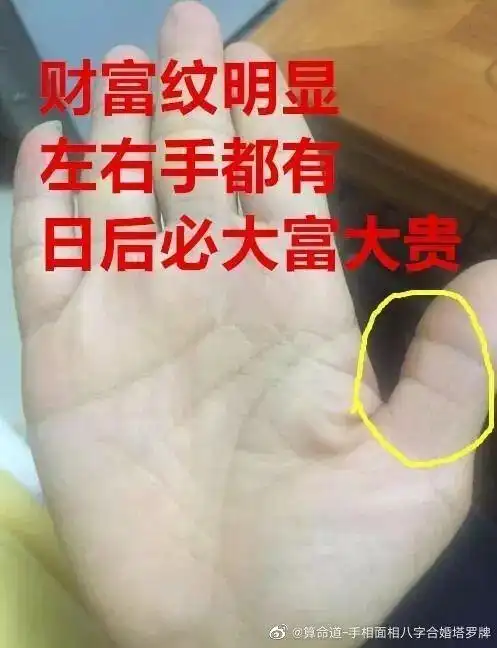 手相算命,巨富之人的手相