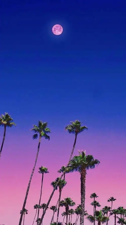 2021年最治愈的微信背景图