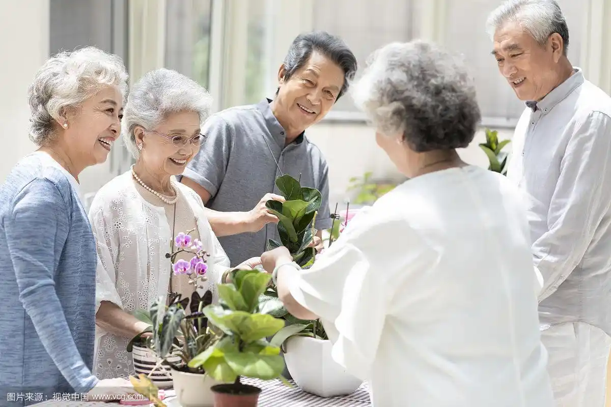 老年人在养老院