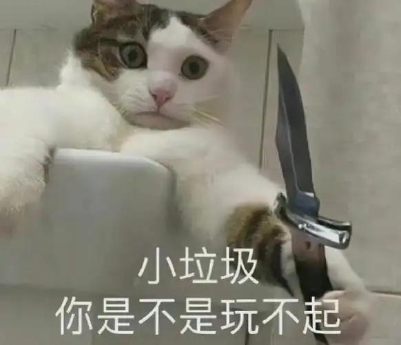 文案##小清新壁纸##小众图片##朋友圈背景图##表情包##沙雕表情包