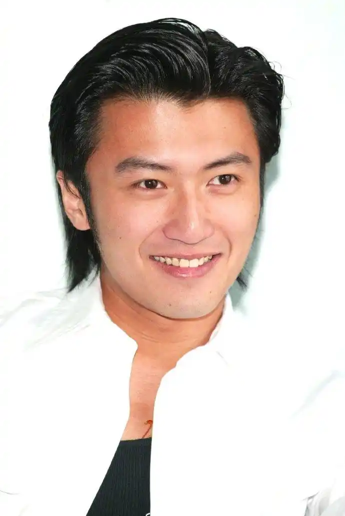 即便过去多年,谢霆锋还是一样的帅气,他的那张脸没有丝毫的变化