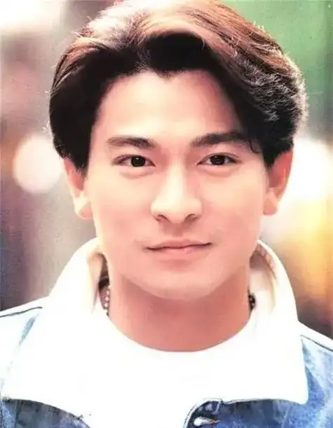 刘德华,这位华语电影界的传奇巨星,在演艺生涯中收获了多项重要奖项