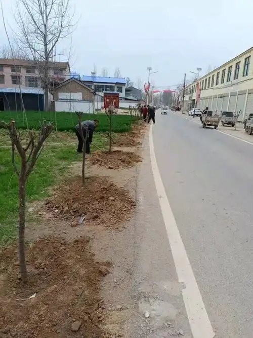 梁园区观堂镇环境整治让村庄大变样