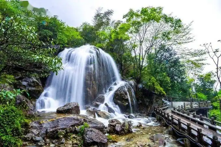明月山这条公交线路有调整_明月湾_洪江_旅游区