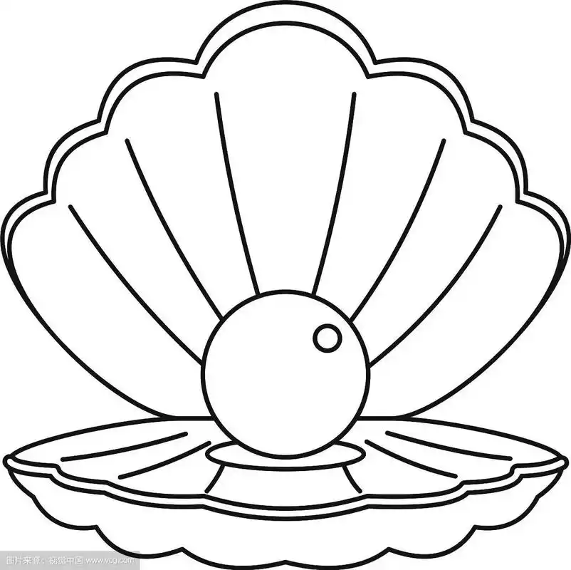 海贝壳与珍珠图标轮廓风格