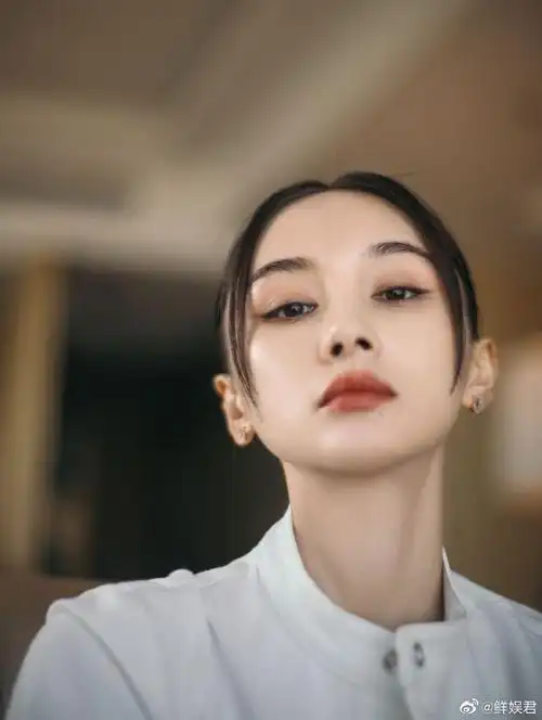 王子文口红色号