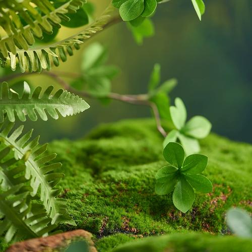 森林背景布摄影拍摄摆件创意场景搭建ins风静物产品拍照清新绿色石头