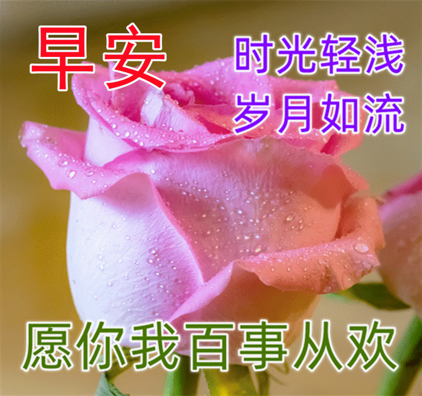 清晨暖心早上好问候语录和祝福短句 早上好图片祝福表情大全集