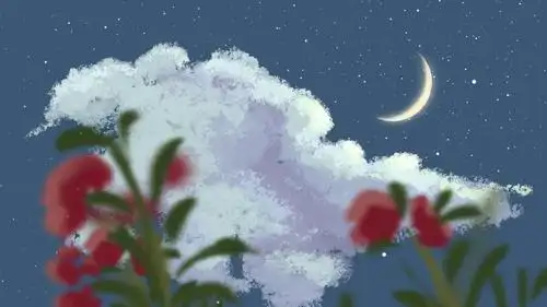 精选19201080电脑壁纸