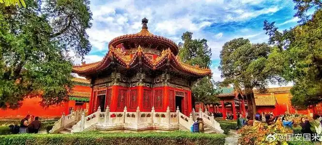 深秋的北京故宫御花园2023.11.7 摄影