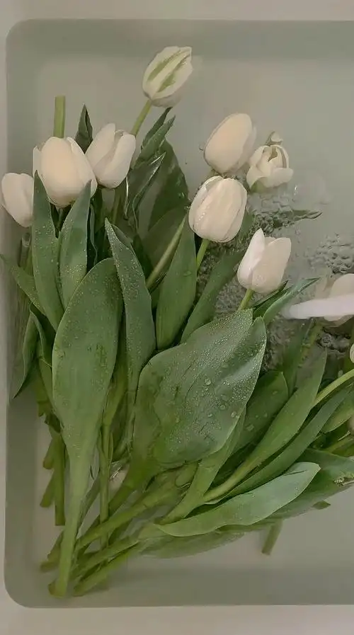 2021年最后一波壁纸