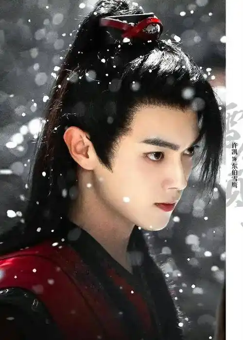 邓为14檀健次11成毅第7任嘉伦第4肖战登顶_浏览量_男艺人_王一博