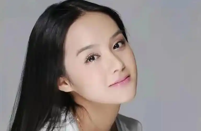 回顾饶敏莉婚后12年不生孩子与富大龙的婚姻终究败给了现实