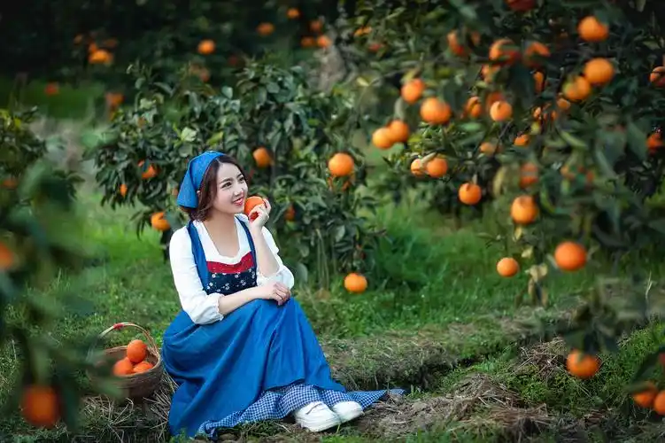 橘子红了山 橘子红了天 橘子红了姑娘的脸 采不完的情 装不尽的爱