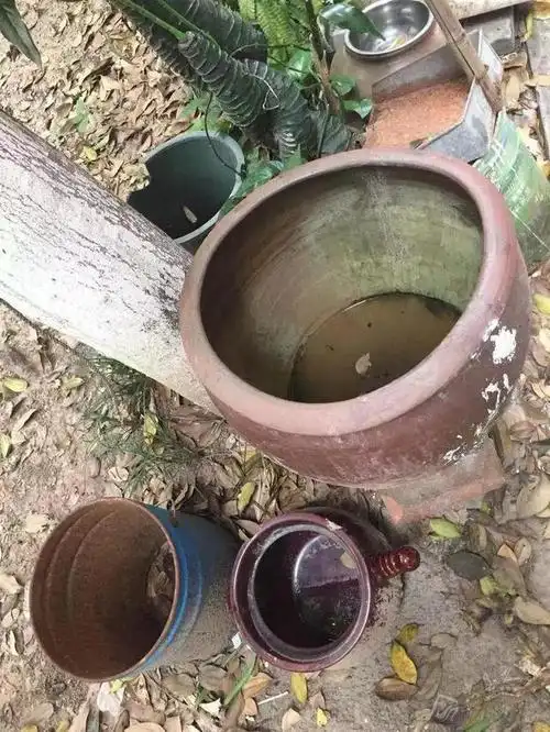 原来蚊子"最害怕的"天敌不是蚊香?用这招,家中一只蚊子也没有