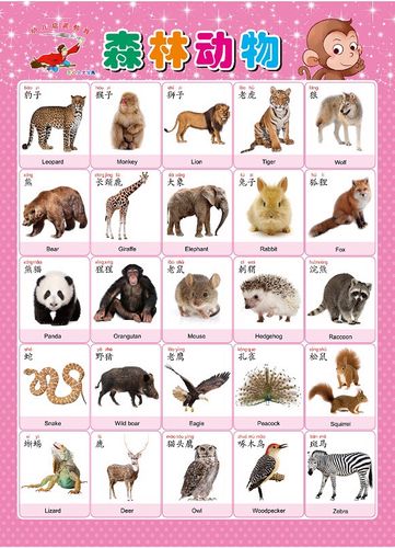 表教具挂图 1一100数字认知墙贴认识幼儿卡片早教工具 杏色 森林动物