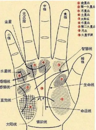 左女都要看,左手先天,右手后天.