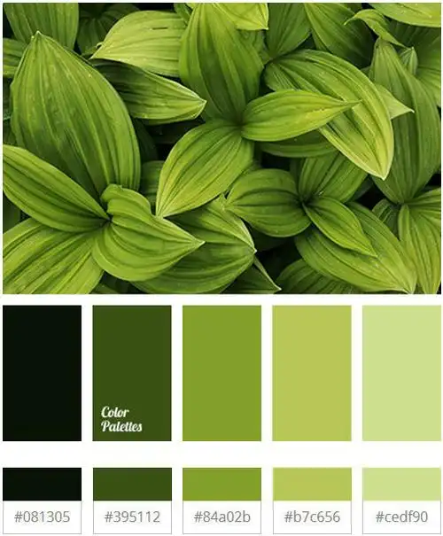 清新的草木绿配色参考__财经头条
