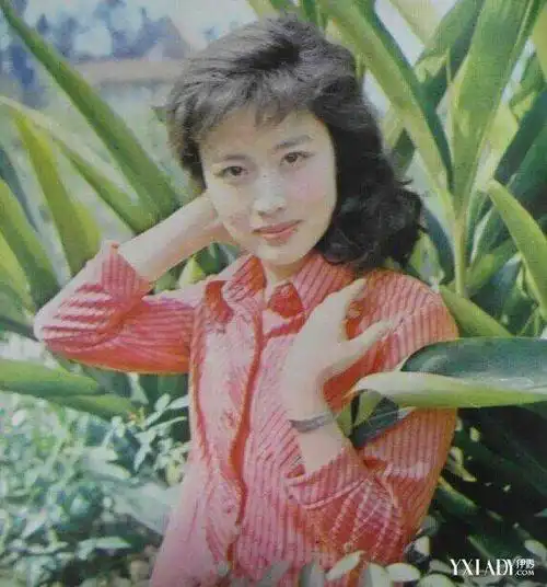 赵娜和杜志国离婚