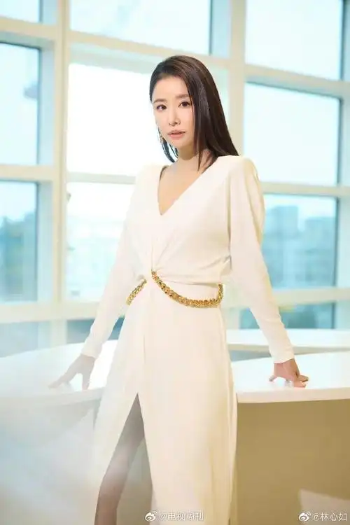 苏有朋林心如携手亮相我们的美好生活