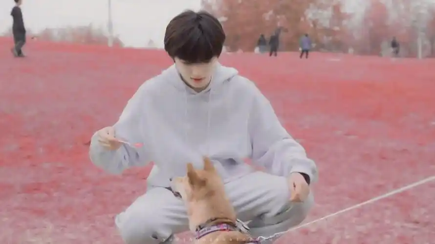 宋亚轩应援色格柄