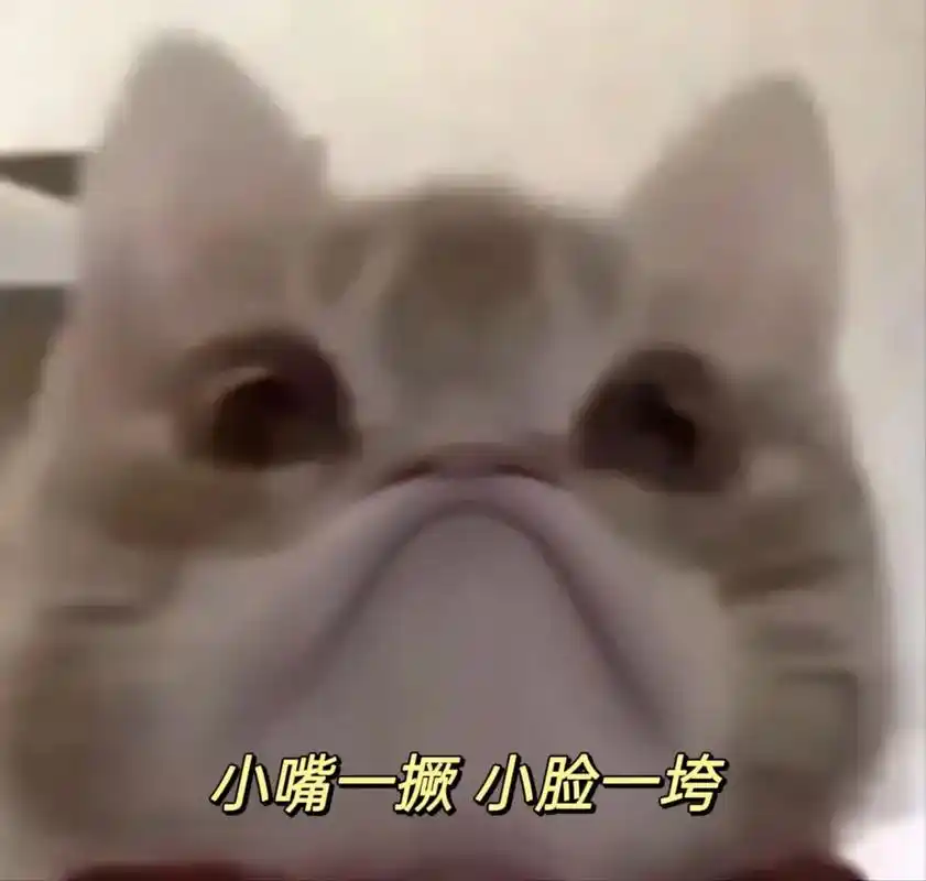 管得着吗你  生气啦#表情包 #发给对象表情包 #歪嘴小猫  - 抖音