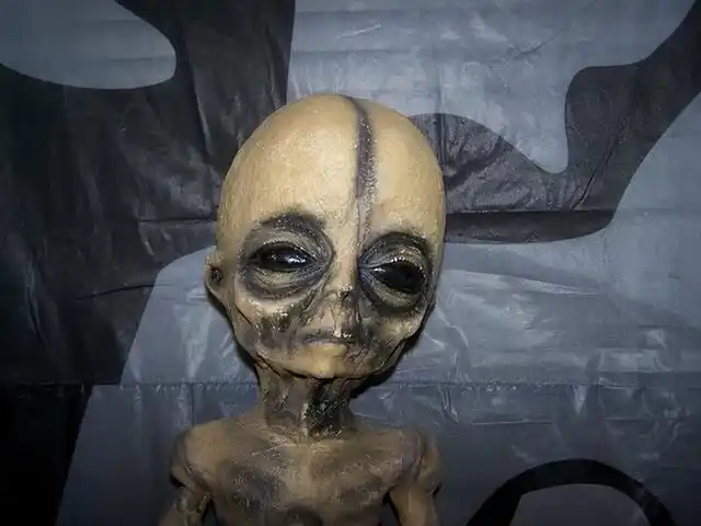 据说在神秘51区有活着的外星人