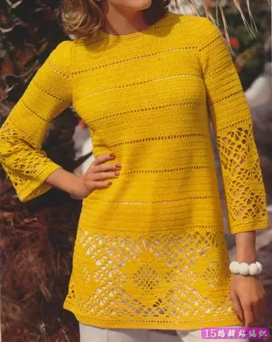 两款气质精美的国外钩衣图解|钩针花样图解