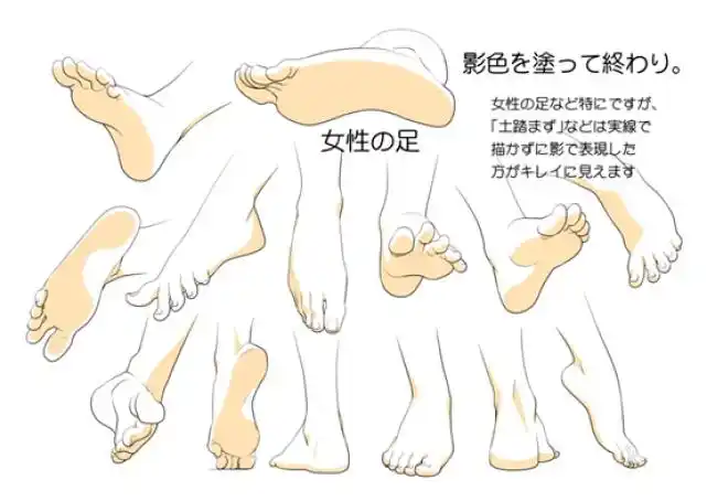 小白如何画脚米塔在线详细教程_脚趾_大部分_线条