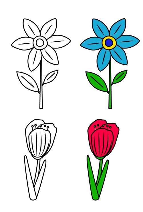 花儿的简笔画 小花朵图片简笔画