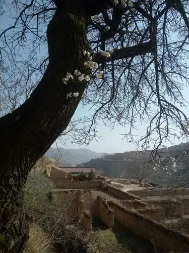 乡村一一圪梁梁