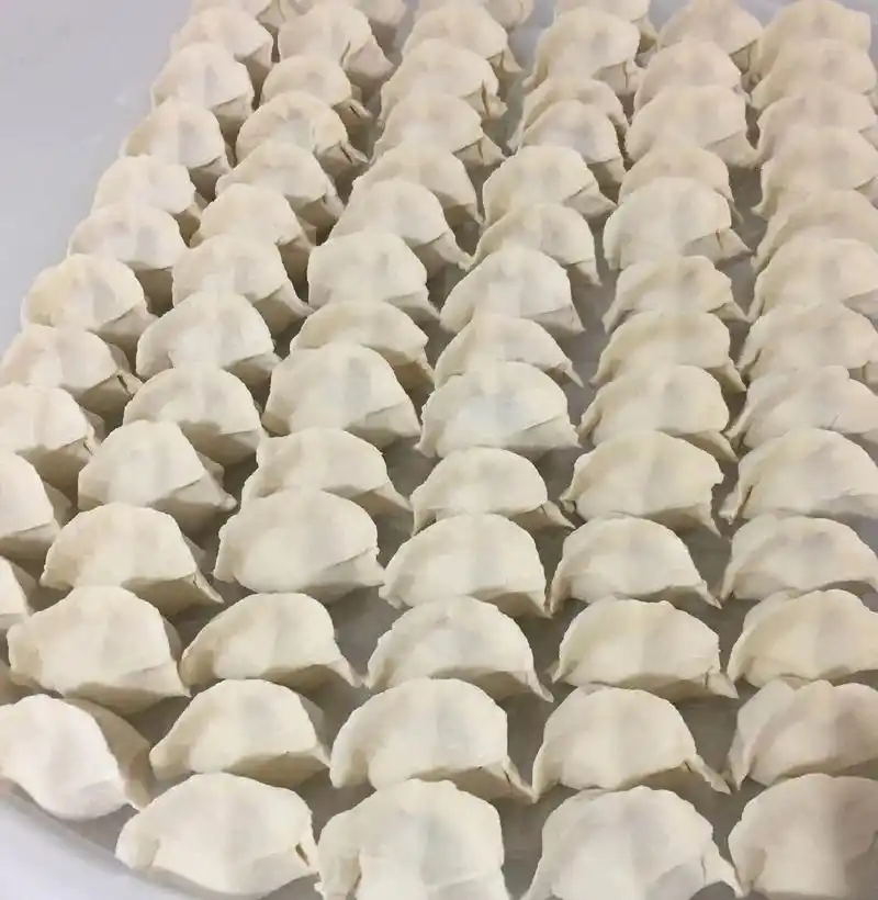 水饺饺子云吞馄饨新技术杜德春