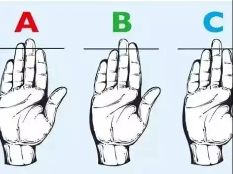 手指长短看一生命运,非常准!