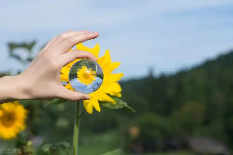 内心充满阳光的励志短句,善良温和,坦荡生活
