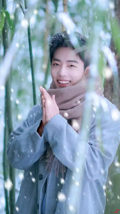 肖战冬至竹林大片##日常见肖战